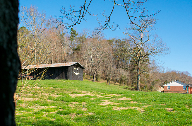 Smiley face Shed