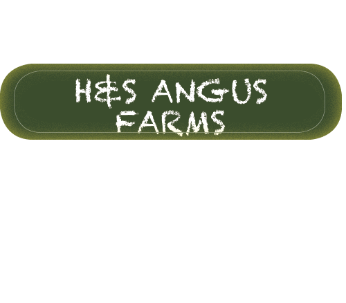 Green gradient H and S Farms